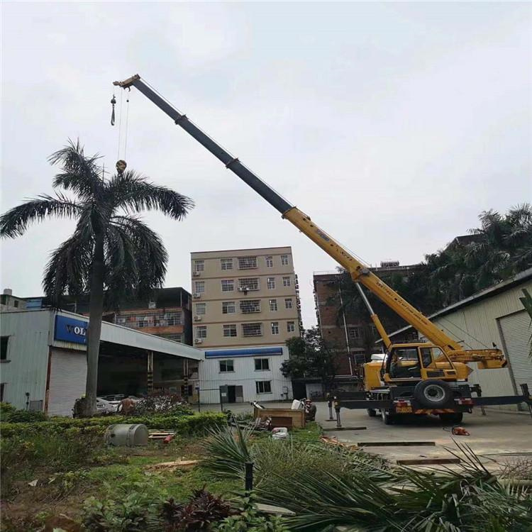 铁山港吊车吊大树几种方法